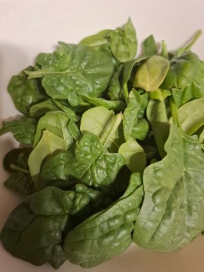 ������ �� �������� � �����: ������� ������ ������� ������