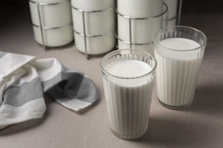 ����� � ���������: ����� ����� � ������ � �����������