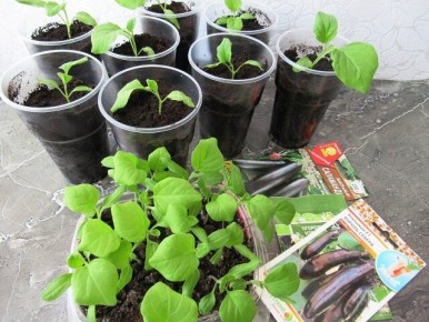 ��������� ���������: ��� ��������� ������� � ���� ����