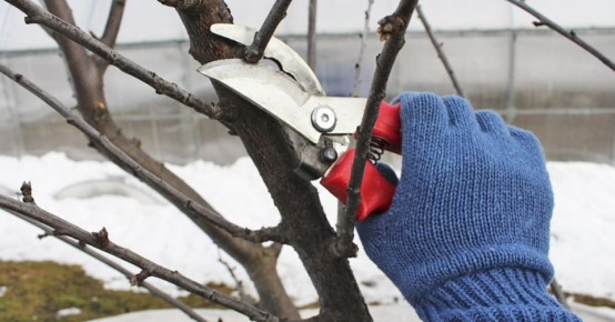 ��� ��������� ��������� �� ������ ������: ������� � �������� ������