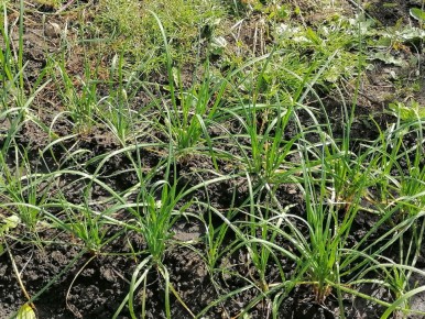 ������� ������ � ���������: ��� ����������� ��� � ����