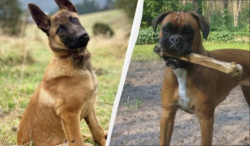 �������� � ��������: ���-7 ����� ������� ����� �����