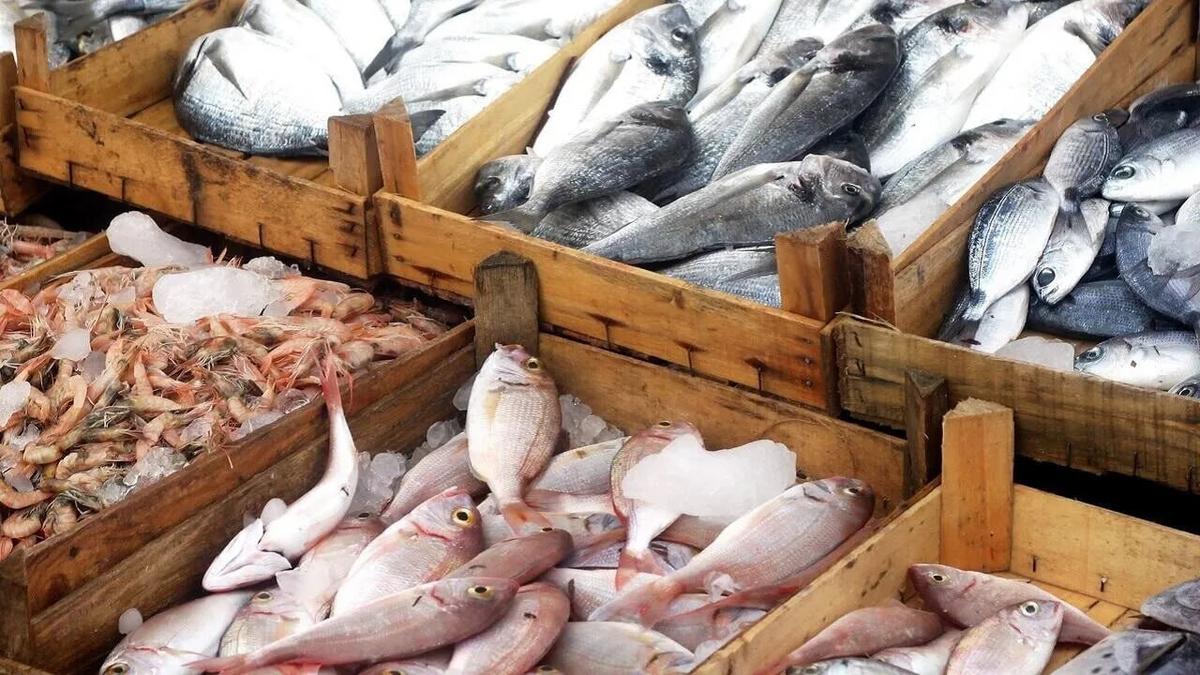 Белоруссия обходит конкурентов: успехи в рыбной индустрии