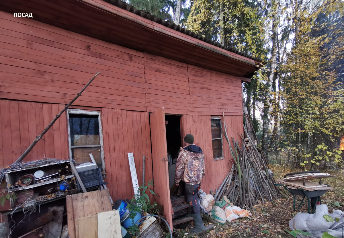 Как мы избавлялись от хлама на даче: забавные находки и сожаления