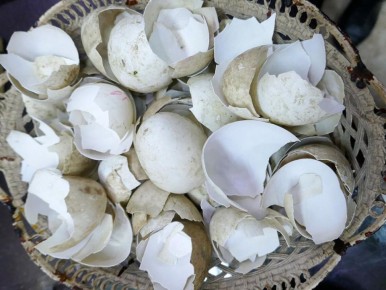 ��� ������ �������� � ����� �������� �������� ������ � ����