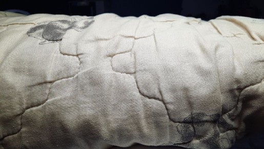 ������� ������: ��� ����� ���������� � ������� �������