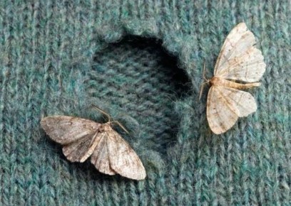 ��� �������� ������������ � �����: ������� ���� � ���������� � ������������