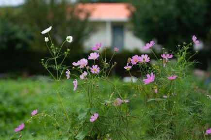 ��� �������� ��������� ��� ��������� � ���������� ���������