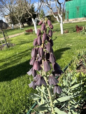 �������� ������, ������� �����������: ���� ������� ��������