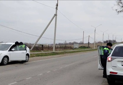 ���������� ���������������� �� ��� ������ ������-��������� ������� ��������� �� ���������� ������������ ��������� �� ���������