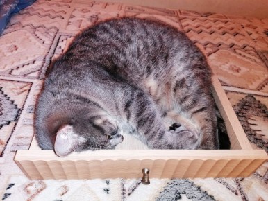 ������ ����� ������������ �������: ������������ ����� � �������� ��������