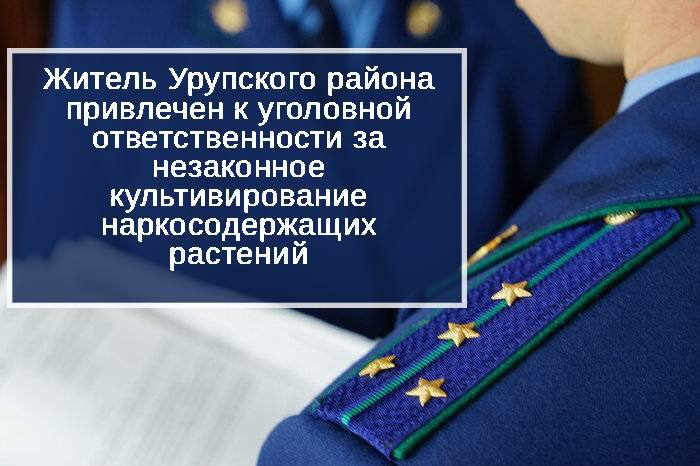 Урупский районный суд вынес приговор по уголовному делу в отношении местного жителя