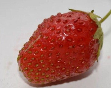 ����������� ������� ������ � ����������� ��������� �� ��������