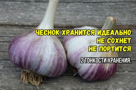 ���������� �������: ��� ������� ��� ������� ��������