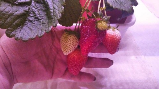 ���������� ����� � ������: �� ����������� �� ������� ������