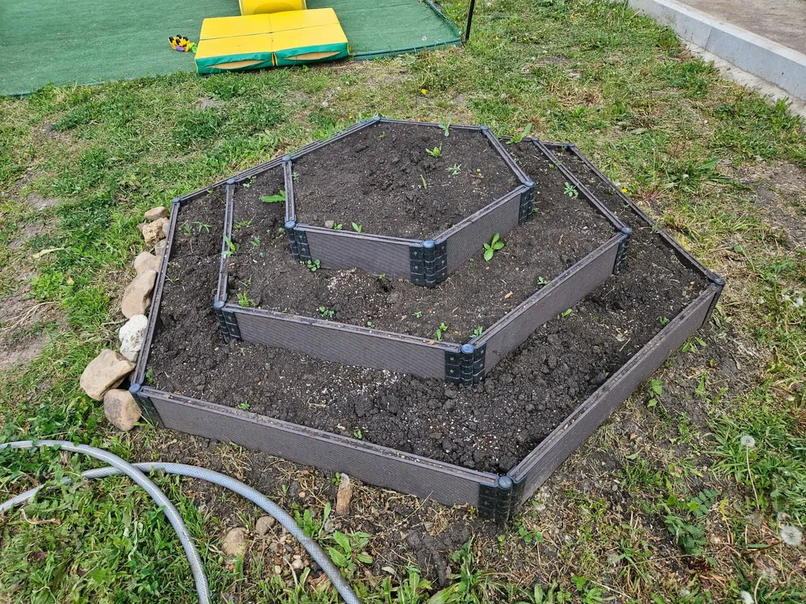 Преображение клумбы: от неудачи к мечте за один сезон