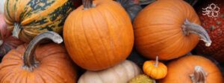 ��� ������� ��������� ����� ��� ������ �������: ������� ����� � �������� ��������