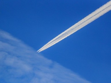 ������������ ������ � ������ �������� �������: ��� ��������