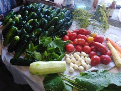 ������ ������ ������ �� ������� ��-��������: ��� ����� ���� ����