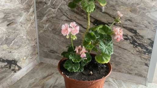 �������, ��� ����� ��������� �������� � �������� ��������