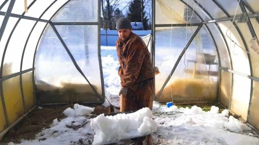 Зачем закидывать снег в теплицу и как это сделать правильно