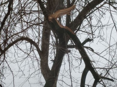 ��������� ��� ���������� � ������ �����: ����� ������ ������������ ���?