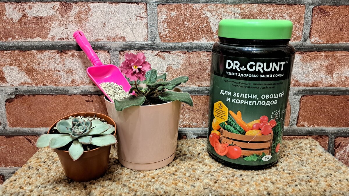 Умная добавка от Dr.Grunt ускоряет рост растений: шокирующие результаты тестирования