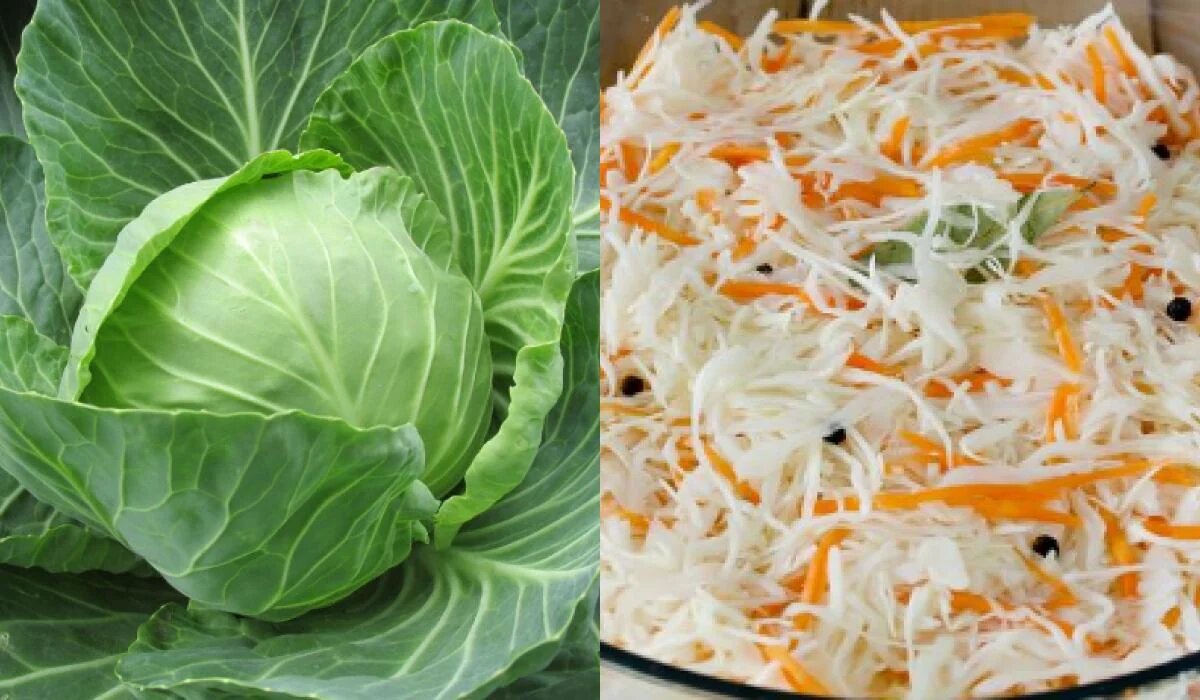 Советы по спасению квашеной капусты от горечи и слизи