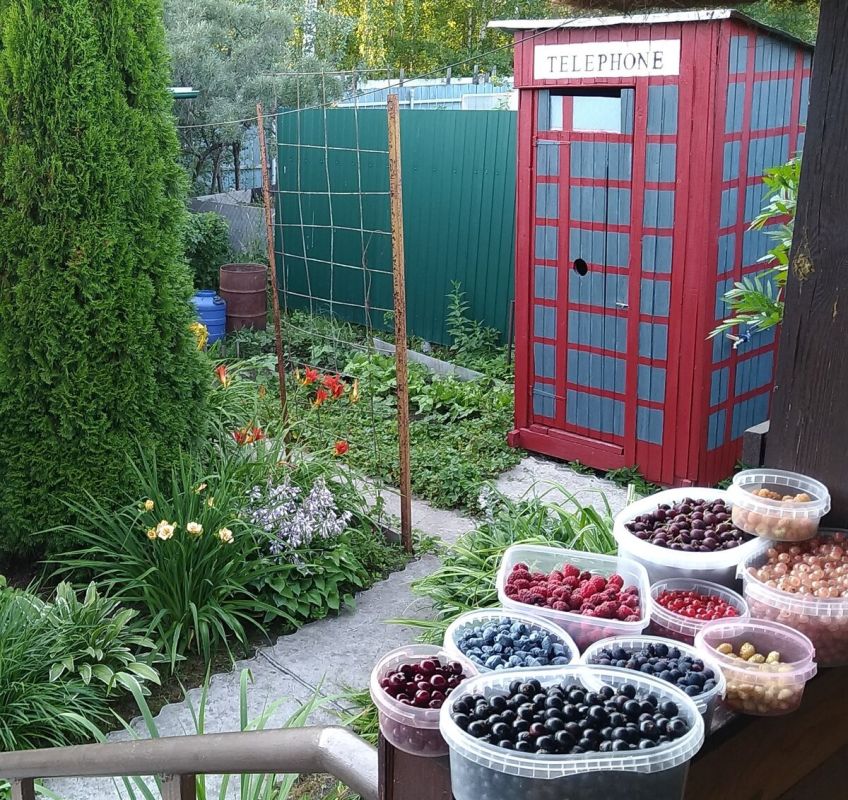 ��� ������ ����������� ������� �����: ������� �� ����