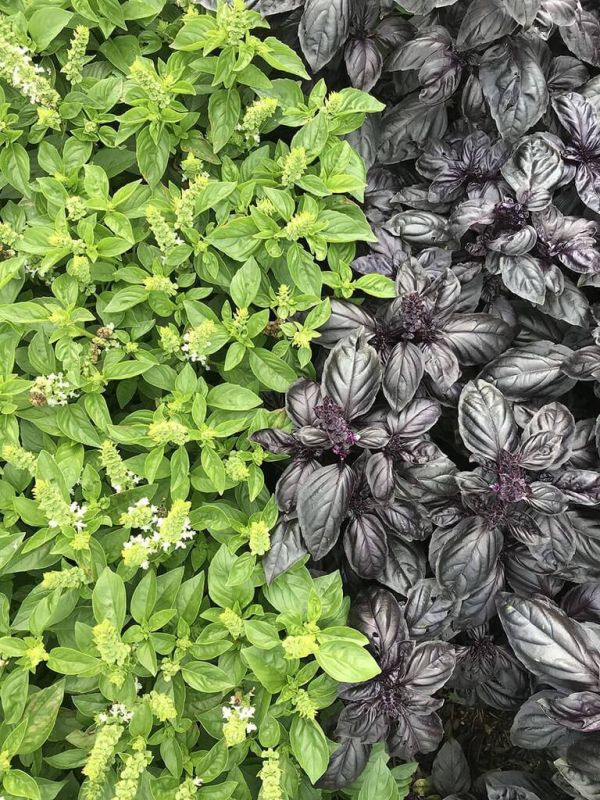 ������� �� ������ �������? �������, ��� �������� ��� ����