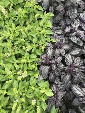 ������� �� ������ �������? �������, ��� �������� ��� ����