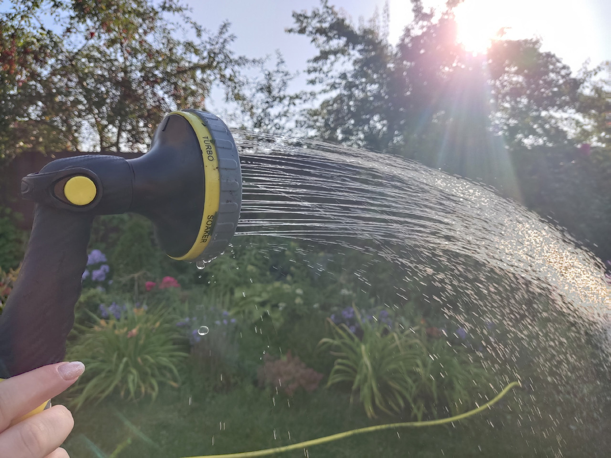 Поливочная система своими руками: шаг за шагом к комфортному огороду