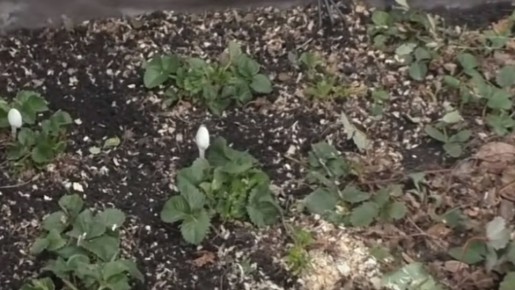 ��� ��������� ��������� �� ��������� ����� ����� ������: ������� � ������