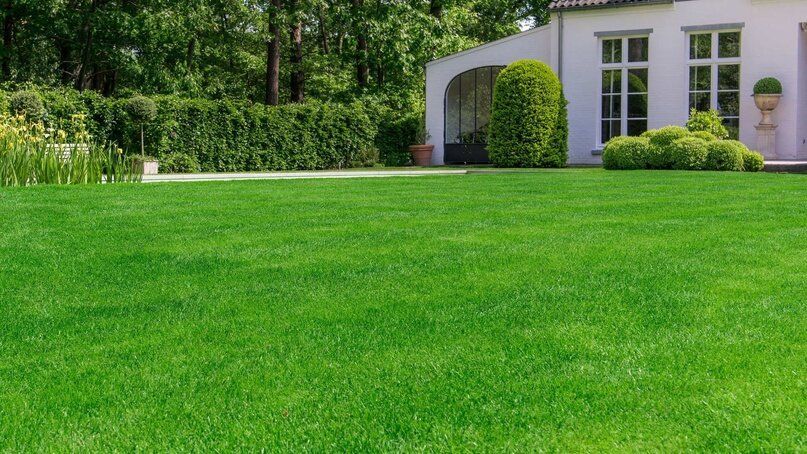 �������� ������� ����� �� �������, ������� ����� ����� ������� ��������