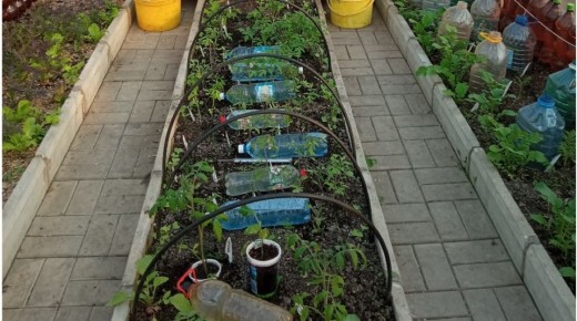 ���������� ���������: ��� �������� �������