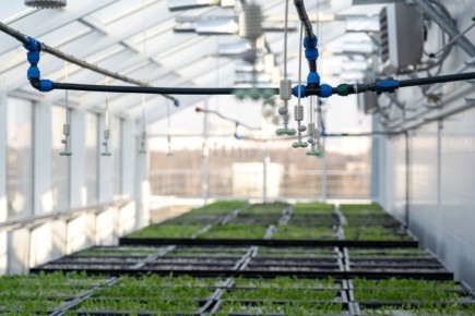 ����������� �������: ��� ���������� ������������ ������� �������