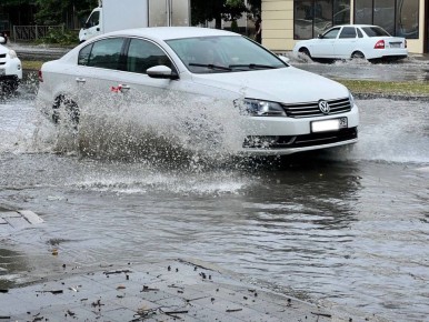 � ���������-�������� ��������� ��������� ��������������