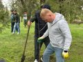 200 саженцев деревьев породы Катальпа высадили сегодня в Покровском парке Черкесска