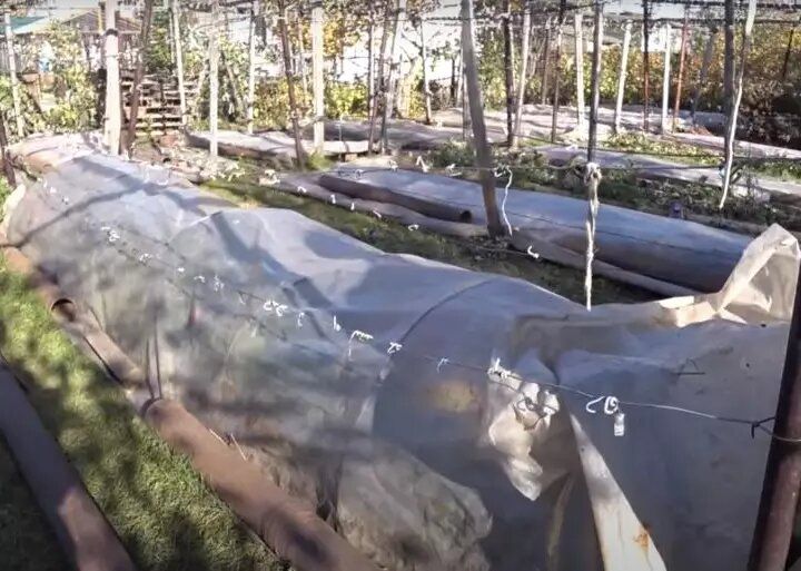 ��� ��������� ������ �������� �� ���� � ������� ������: ������ �� �������