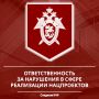 Следственное управление СК России по Карачаево-Черкесской Республике предупреждает об уголовной ответственности за преступления, совершенные в сфере реализации национальных проектов