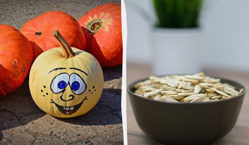 ��� ����� ������� ��������� ������� ������� � ����������: ������� �������������