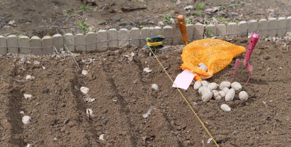 ��� ��������� ������ ���������: ������� ��������� ������