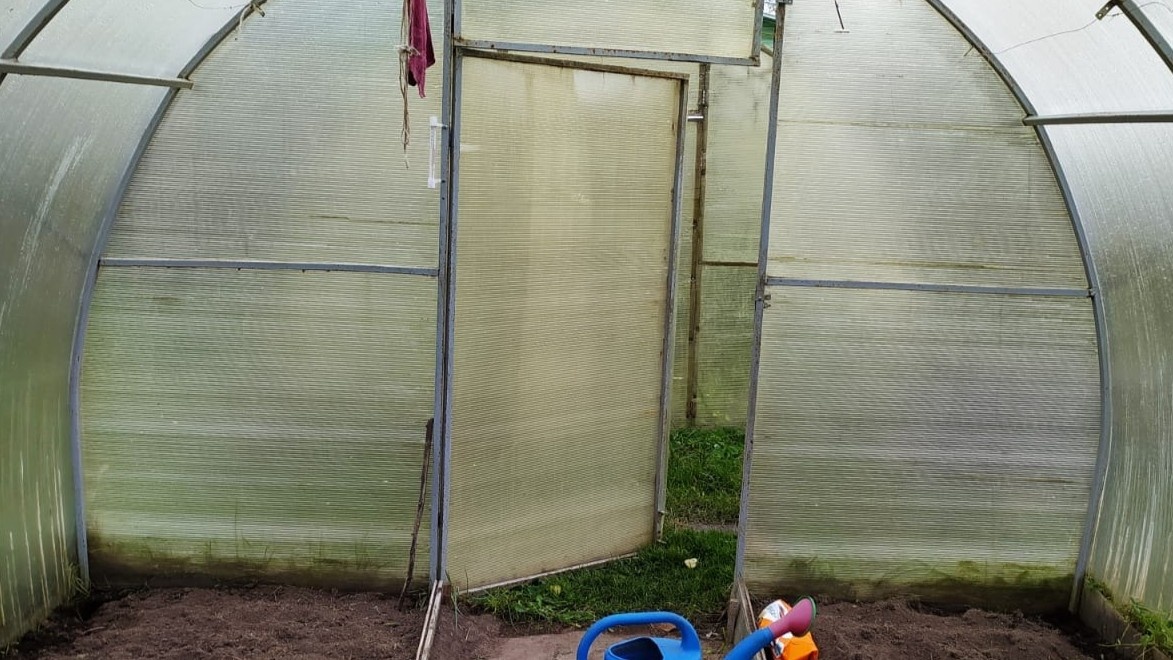 Как избежать потерь урожая: важность проверки температуры почвы