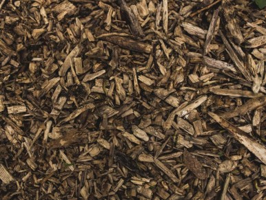 ��� ������ ������������� ����� ������ ��� ��� �� �������