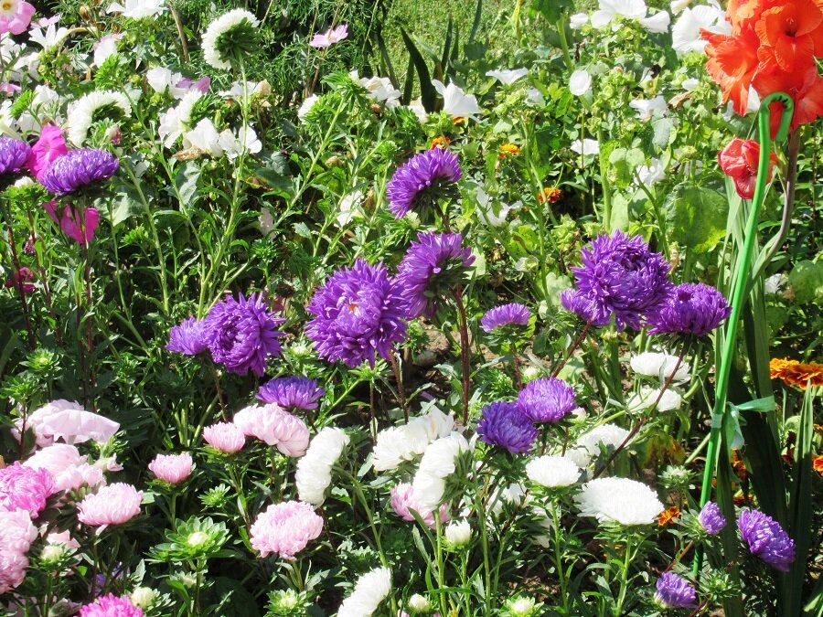 ������� �������� ��������� ����: ��� �������� ������ ��������