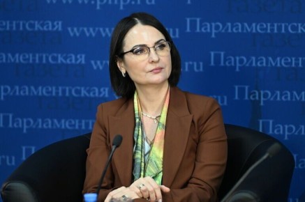 В России разрабатывают стандарт на антимоскитные сетки с предупреждениями для родителей