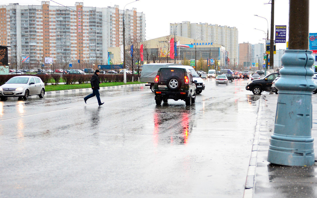 Кто виноват на дороге: водитель или пешеход?