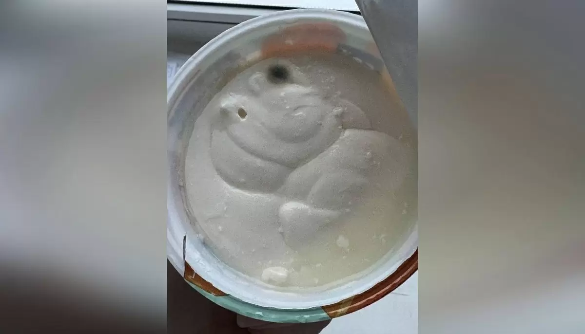 Петербургская жительница столкнулась с плесенью в йогурте из магазина