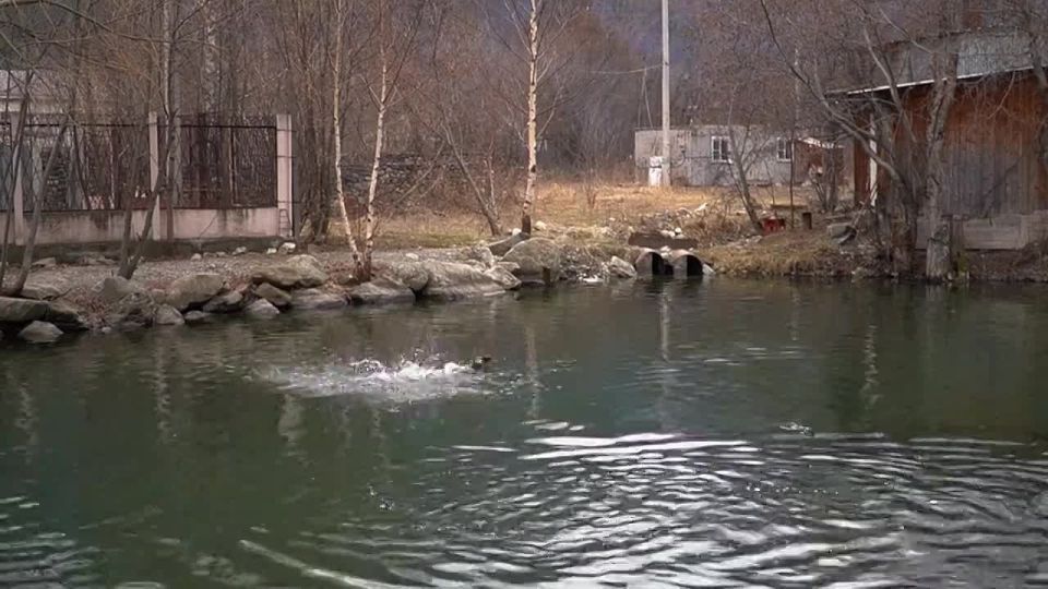 ��� � ������ ���� ������� ���������� ���� �� ����� ������ ���