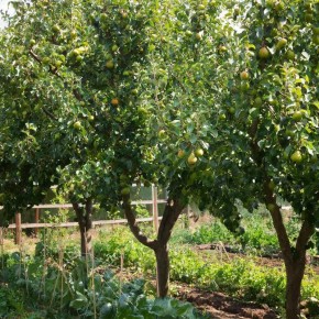 �������� ������� �����: ������� ��� ������� ������